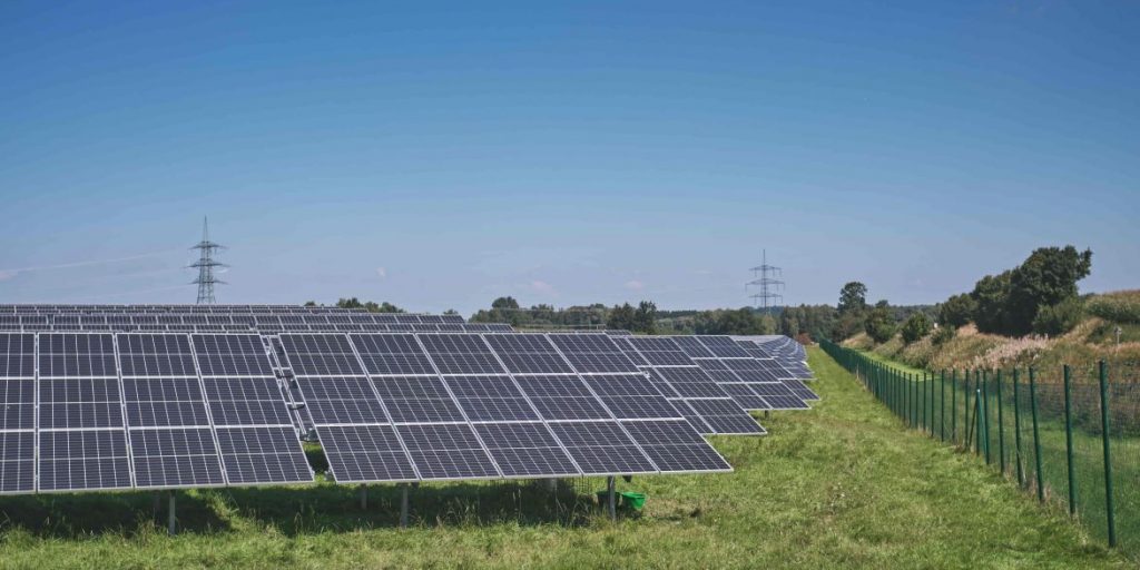 Paneles solares